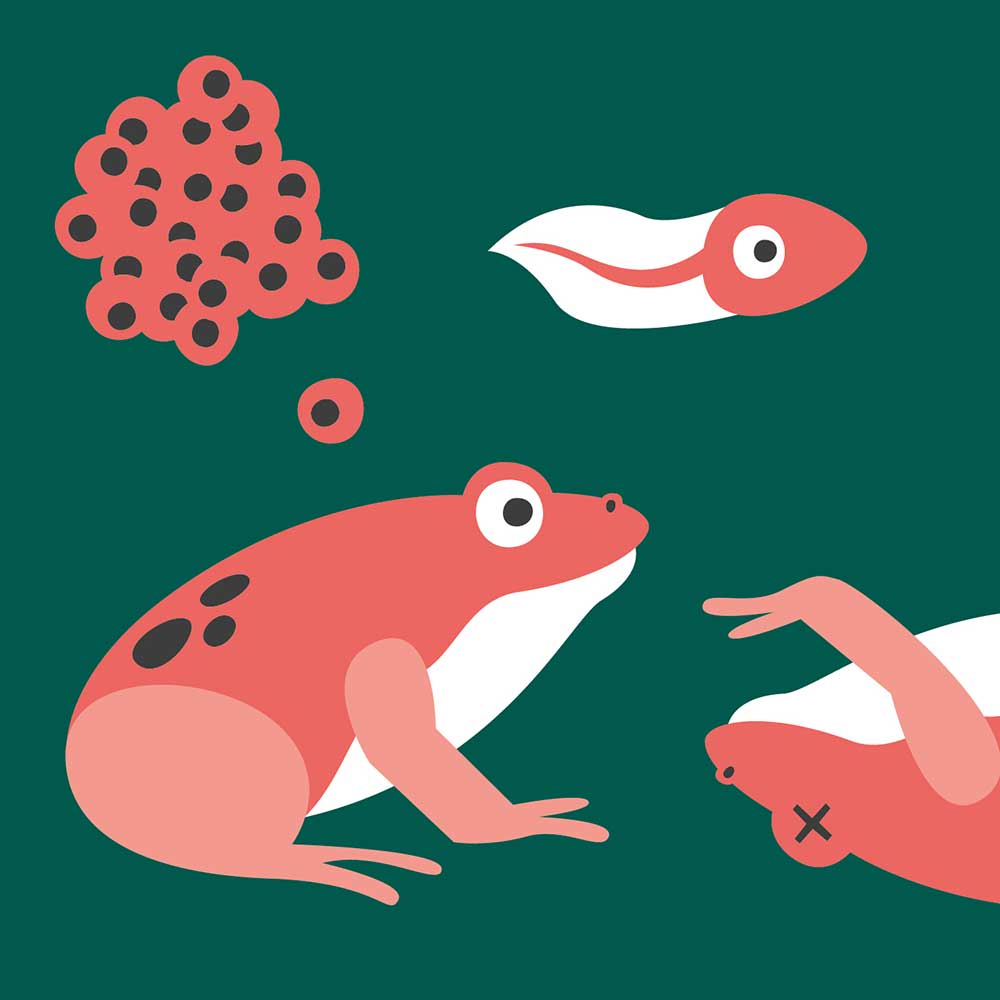 nmo einfuehrung lehrpersonen