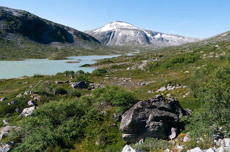 Naturmuseum Olten Buschtundra