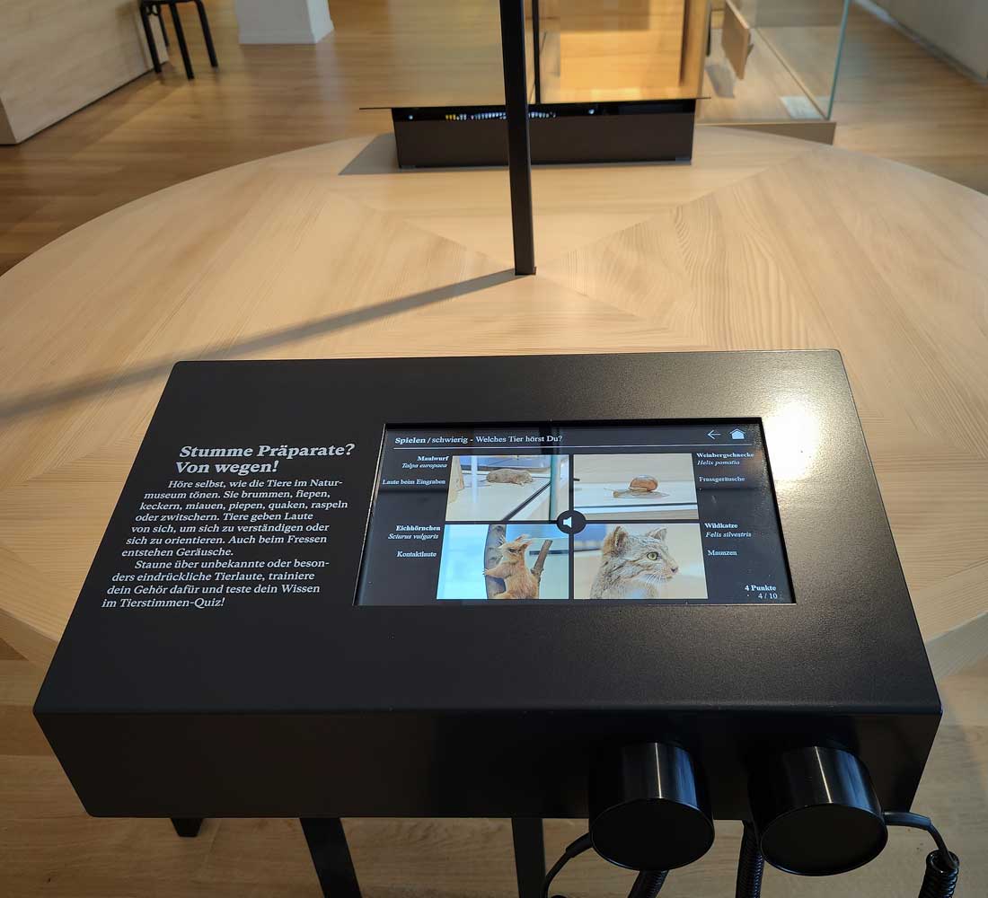 Naturmuseum Olten Wildpferdknochen