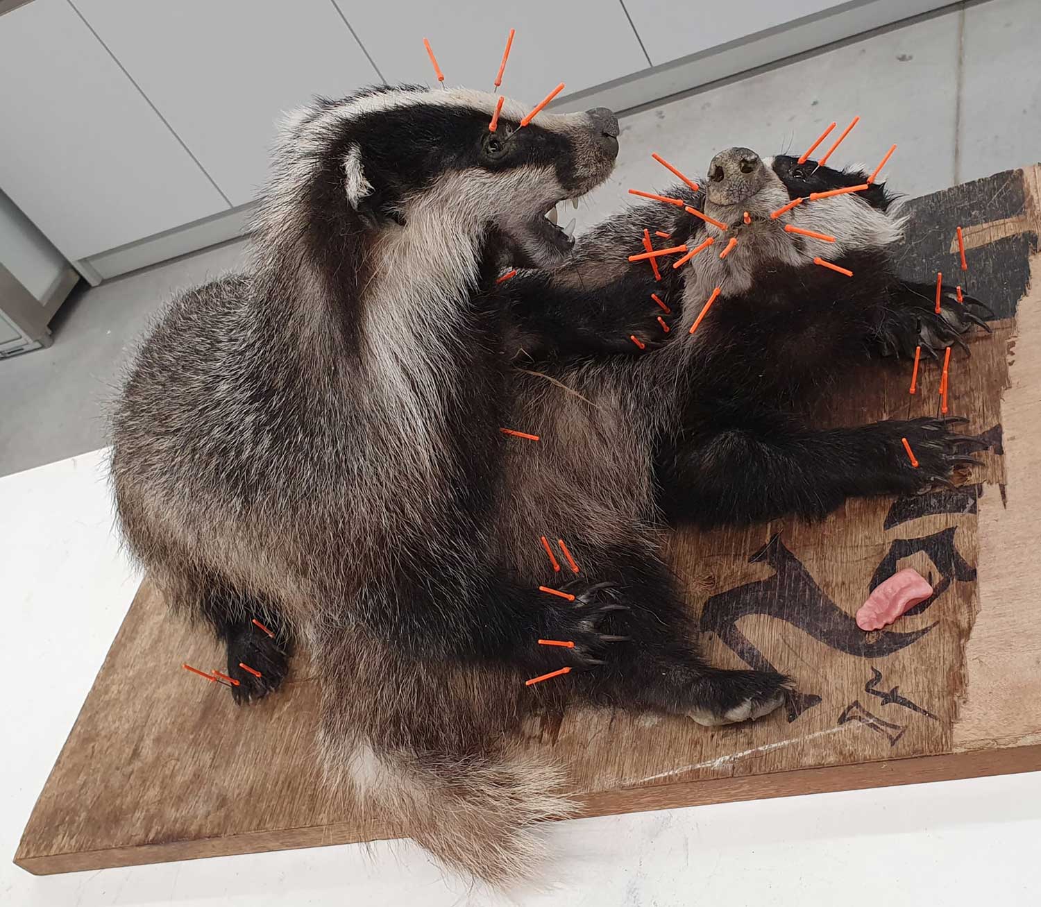 Gletschertransport 1 2023