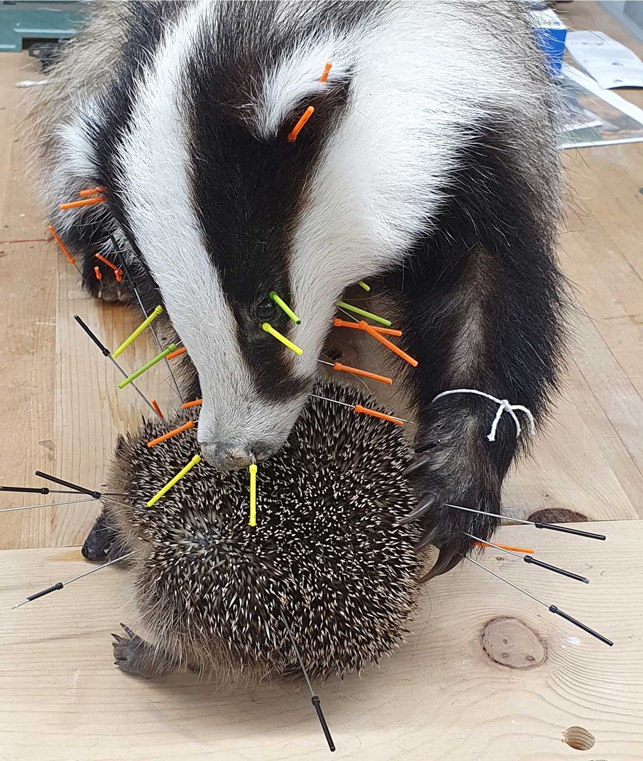 blog konzertfuehtung 10.2023