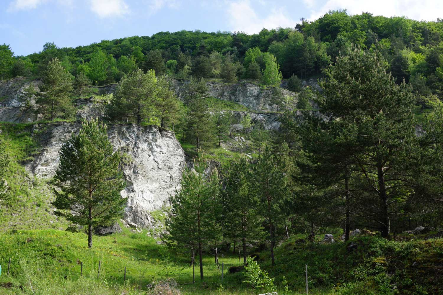 1 Gipsgrube Kienberg Peter Fluckiger neu