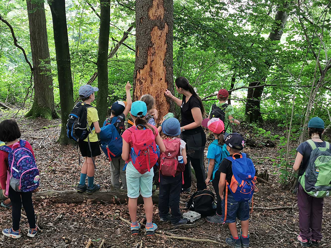 Gletschertransport 1 2023