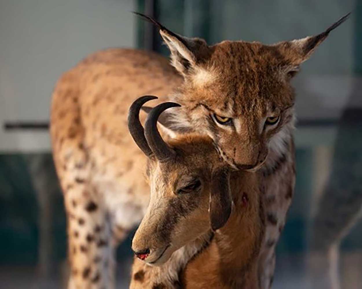 Remo mit Caspar 2023