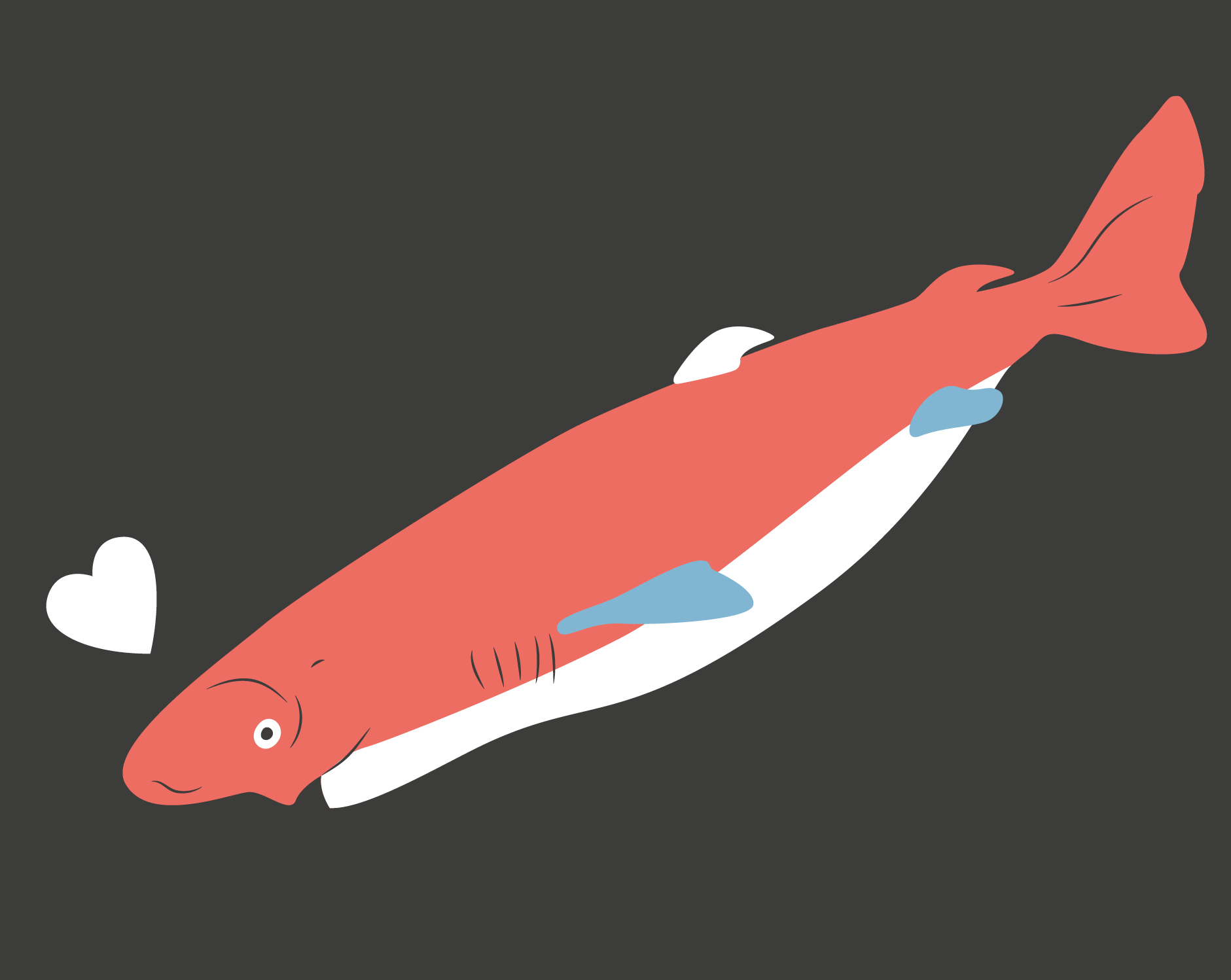 nmo blog 05 luchsgrafiken