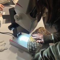 Anmeldestart für die neue Staffel von «Jugend & Wissenschaft»