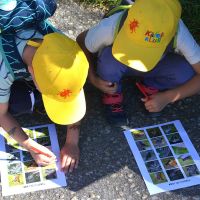 Anmeldestart für die neue Staffel des «Käferklubs»