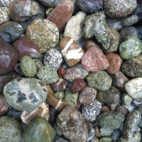 Exkursion «Welt der Kieselsteine» mit Geologe Dr. Jürg Meyer