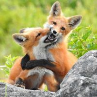 Führung «Liebesgeflüster»