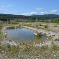 Vortrag «Vom Abbaugebiet zur Wärmeinsel: Mediterrane Arten erobern Olten SüdWest»